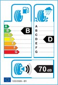 Etichetta Europea: <strong>Petlas</strong><br /><span style='font-weight:normal'>245/45VR18 PEAS SNOWMASTER 2 SPORT XL 100V M+S</span>